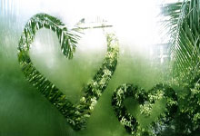 雨燕直播app怎么下载?安全下载及使用指南全解析